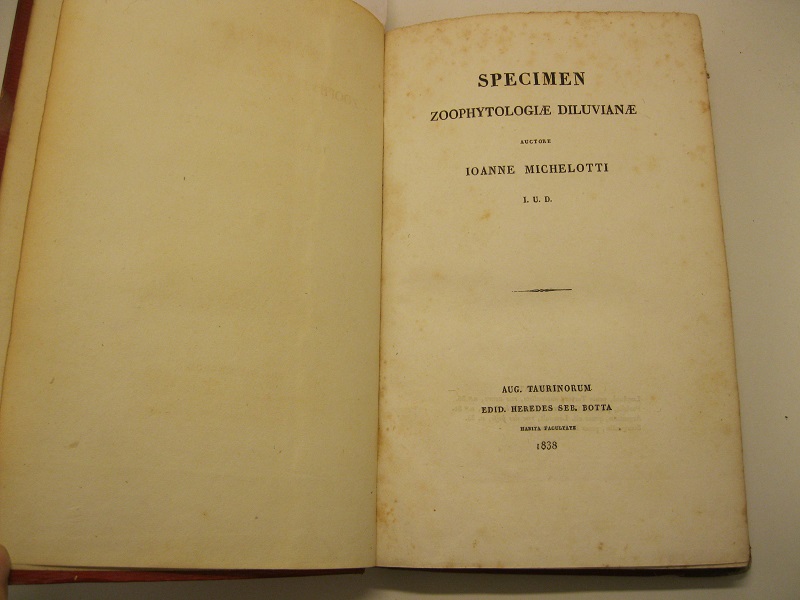Specimen zoophytologiae diluvianae. Auctore Ioanne Michelotti I. U. D.